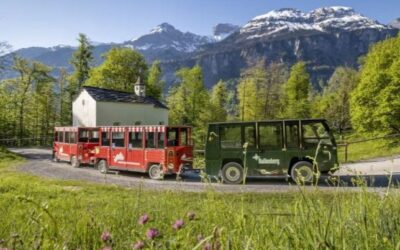 Neu im Einsatz: Die Ballenberg-Bahn!